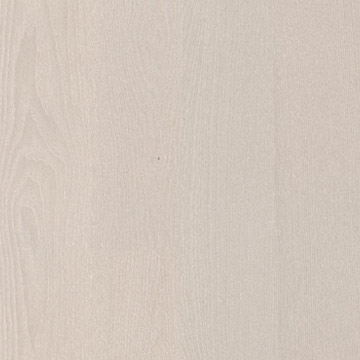 奶油灰白蠟木